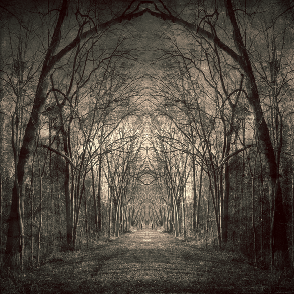 Path_Of_Nightmares___II_by_perception_obscure