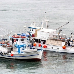 Καθημερινές οι «μάχες» μεταξύ Ελλήνων και Ιταλών ψαράδων
