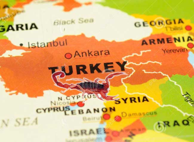 turkey-map-650
