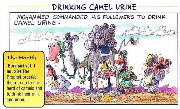 Camel-urine-islam-muhammad